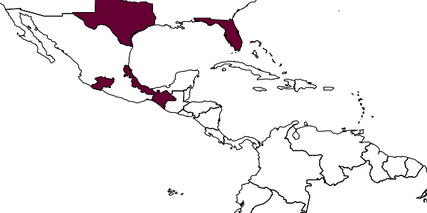 map of Melittobia digitata     Dahms, 1984